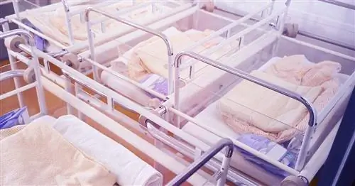 Похоже, мы попали в эпидемию COVID-19