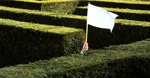 рука держит белый флаг над канавой.