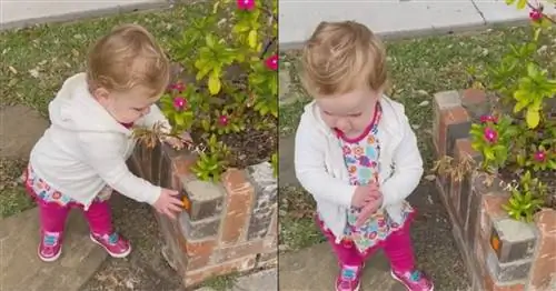 Видео о ребенке, который думает, что все вокруг - дезинфицирующее средство для рук, становится вирусным