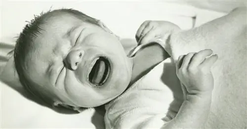 Снятся ли детям кошмары? У науки есть ответ