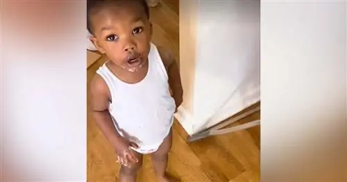 У мальчика глазурь из кекса на лице