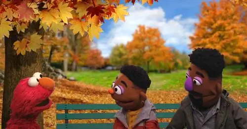 Объяснение «азбуки расовой грамотности» на «Улице Сезам»