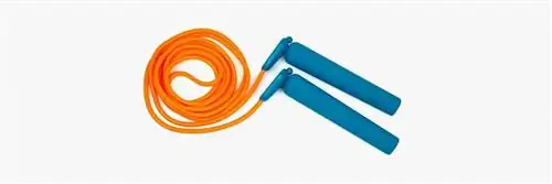 внешняя деятельность