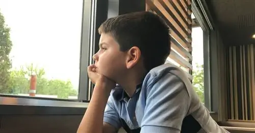 Трагический закат скучающих детей и опасных игр