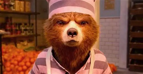 «Паддингтон 2» жестоко свергнут с Rotten Tomatoes Perfect Movie Status