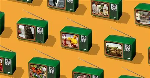 20 лучших документальных фильмов для детей