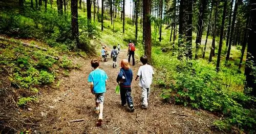 Значительно обновленные правила летнего лагеря CDC. Вот что нужно знать