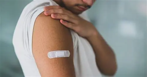 Наносит ли вакцина против COVID вред сердцам молодых людей?