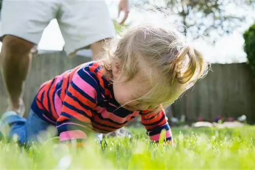 Ребенок в траве плачет, а родитель стоит позади.