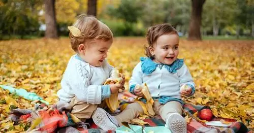 48 имен природы для девочек, вдохновленных природой