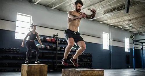 Эта тренировка с прыжками на ящик - лучший день для ног