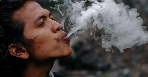 Как долго сорняки остаются в вашей системе?