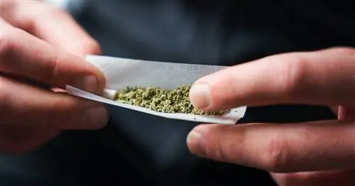 Может ли курение травки помочь вам похудеть?