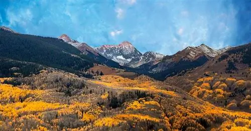 Хотите получить кайф и жить счастливо? Отправляйтесь в Колорадо, по-видимому