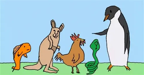 Игра «Двигайся как животное» развлечет детей в любое время и в любом месте