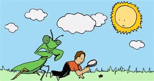 «Охота на жуков» - игра-мусорщик, которая рассказывает детям о природе