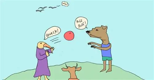 «Мяч животных» занимает малышей, обучая их механике ловли