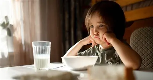 Как воспитать волевого ребенка