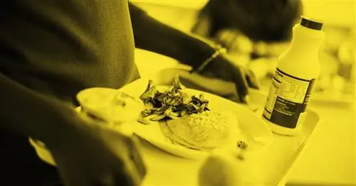 После разногласий округ Висконсин предоставит бесплатное школьное питание всем учащимся