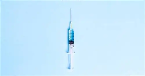 Где сделать прививку от гриппа? Нет лучшего места, где можно сделать прививку от гриппа