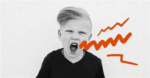 Мы - детские манекены для краш-тестов. Это отстой. Но это часть концерта