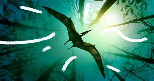 Новый любимый динозавр вашего ребенка скоро станет птерозавром. Вот почему