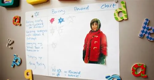 Как работают таблицы дисциплин?