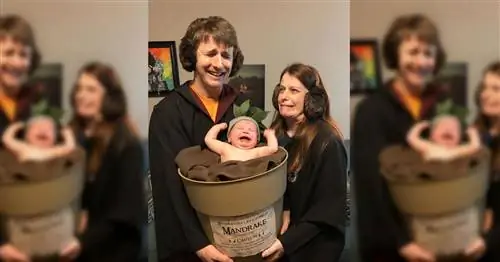 Костюм Гарри Поттера на Хэллоуин для этой семьи - настоящее волшебство