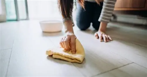Как вывести детские какашки с ковра, одежды и мебели