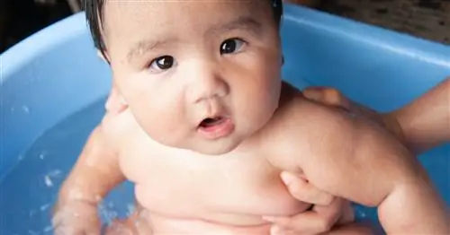 Как определить, опасен ли жир вашего пухлого ребенка для здоровья