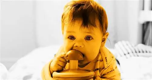 Прорезывание зубов у младенцев: от таблиц прорезывания до симптомов прорезывания зубов