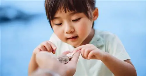 Как мотивировать любознательного дошкольника