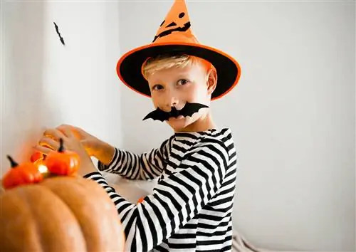 Дети Хэллоуина. Портрет Смеющегося мальчика с тыквенной маской в костюме ведьмы, шляпе с ведерком для конфет…