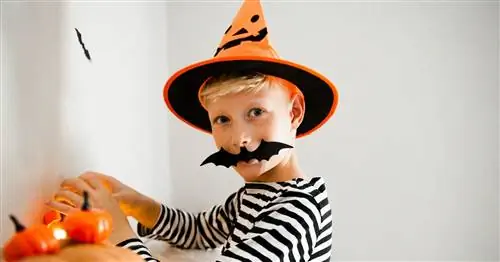 Самые банальные шутки на Хэллоуин для детей