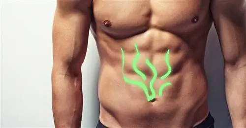 мужчина без рубашки с зелеными волнистыми линиями, выходящими из его вонючего пупка