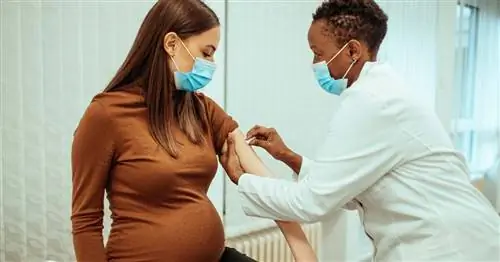 CDC умоляет вас сделать прививку, если вы беременны: это «срочно»