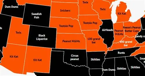 На этой карте показаны любимые конфеты Хэллоуина в каждом штате. Есть несколько шокеров
