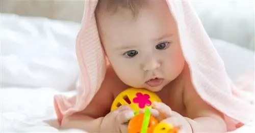 Как будет выглядеть мой ребенок? Наука дает некоторые подсказки