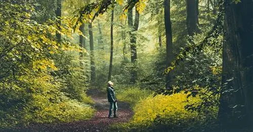 Природа - лучшее лекарство для детей