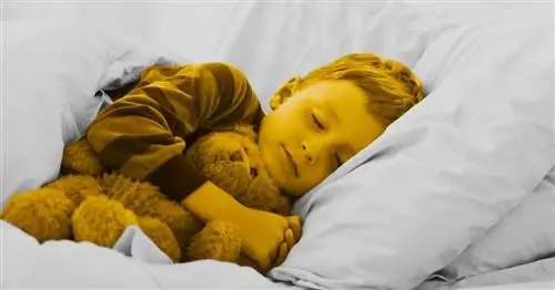 Как отучить ребенка от защитного одеяла, мягкой игрушки или пустышки