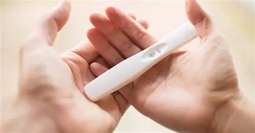 Закройте руки, держащие тест на беременность.
