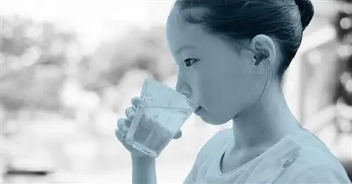 Как заставить детей пить воду