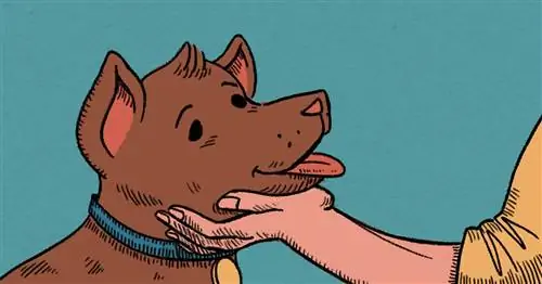 Иллюстрация руки, ласкающей коричневую собаку