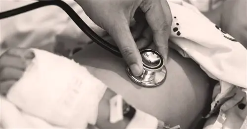 Medicare For All принесет пользу американскому среднему классу и американскому бизнесу