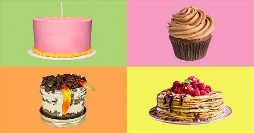 8 блестящих тортов ко дню рождения, которые вы действительно можете сделать