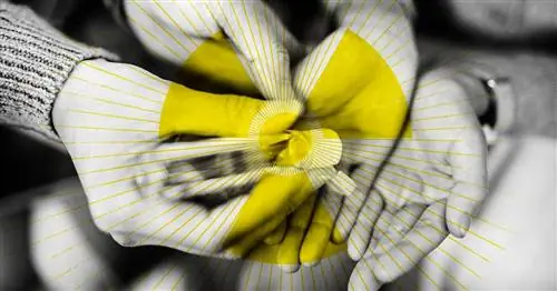 Как избавиться от обычных токсичных химических веществ, проникающих в ваш дом