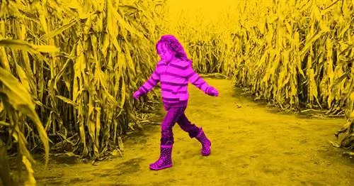 16 крутых мероприятий на свежем воздухе, которыми можно заняться с детьми на этих выходных