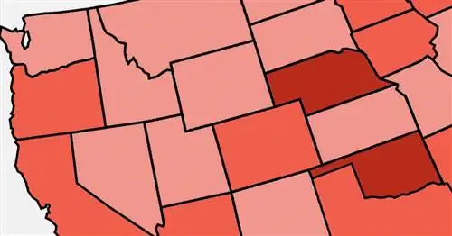 Одаренные и талантливые учащиеся: карта показывает причудливое распределение по штатам