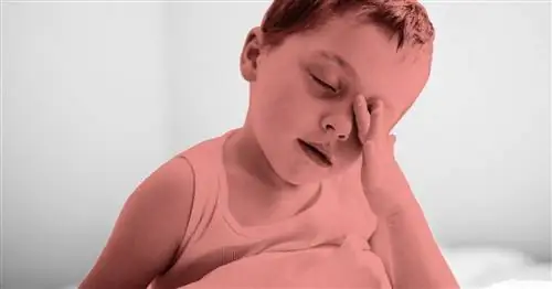 Как вернуть ребенка ко сну во время «регрессии сна»