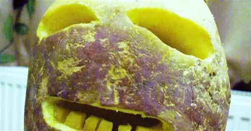 Хотите по-настоящему страшного фонаря из тыквы? Вырезать репу